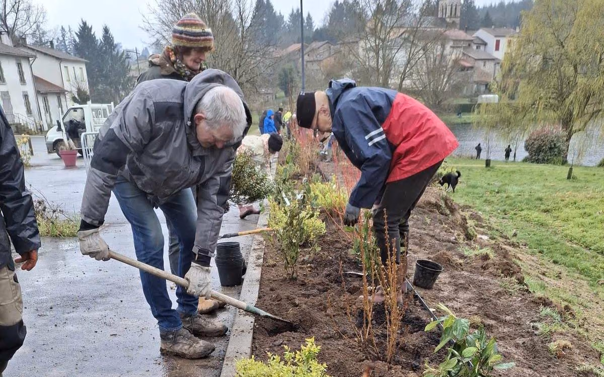 Bénévoles plantant des arbustes au bord de la place Jean-Bredier (photo Charente Libre)