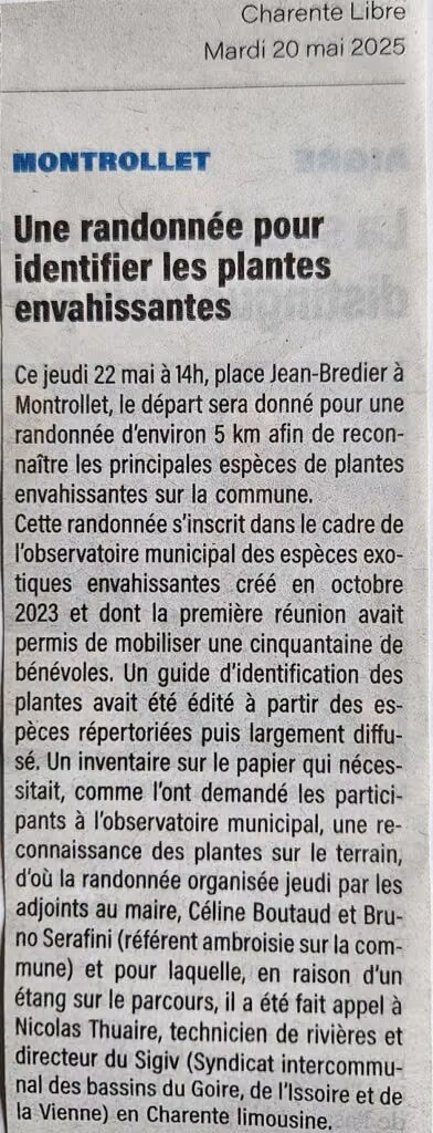Coupure de Charente Libre du 20 mai 2025 : « Une randonnée pour identifier les plantes envahissantes »