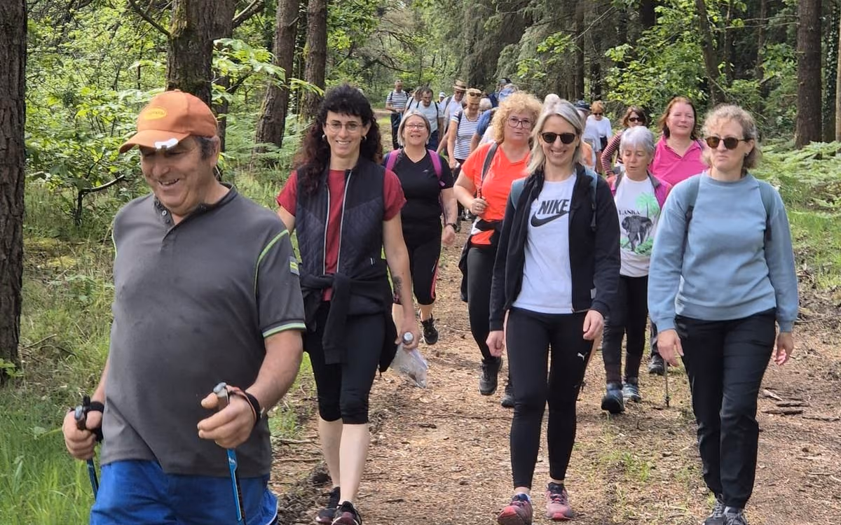 Les randonneurs de l’association AGVBM sur un chemin forestier (photo Charente Libre)