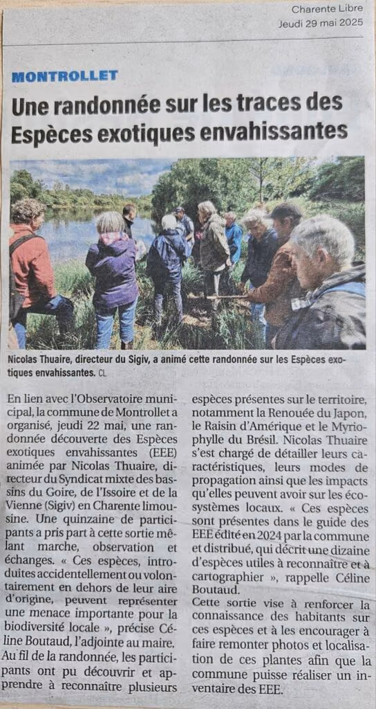 Coupure de Charente Libre du 29 mai 2025 : « Une randonnée sur les traces des Espèces exotiques envahissantes »