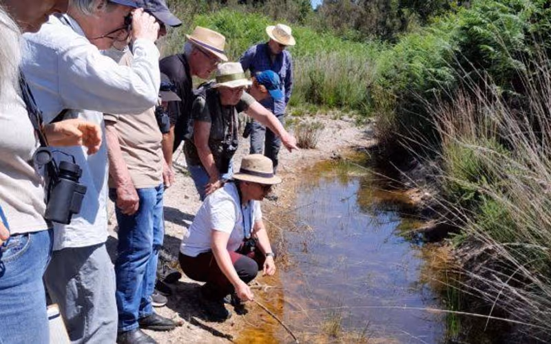 Les participants observent les libellules au bord d’un ruisseau des Landes de la Borderie (photo Gaëlle Pinaud, L’Avenir Le Confolentais)