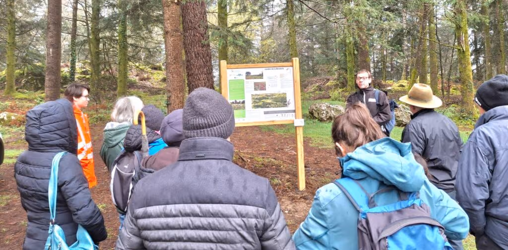 Un groupe de promeneurs sur un chemin forestier