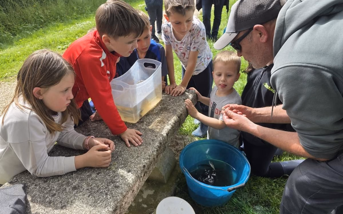 Des enfants penchés sur un seau de poissons avec un animateur de la fédération de pêche de la Charente (photo Annie Grandjean, Charente Libre)