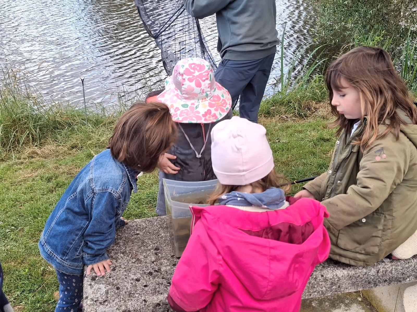 Les enfants réunis autour des animateurs au bord de l’étang