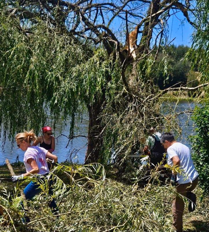 Deux bénévoles dégagent les branchages au bord du plan d’eau