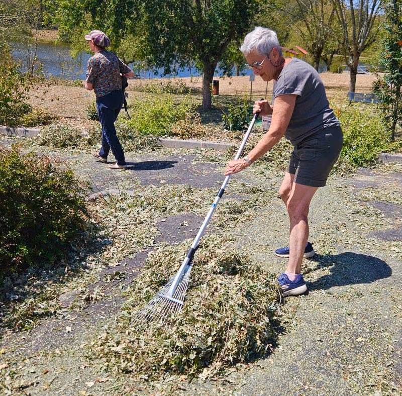 Ratissage des feuilles et des branchages